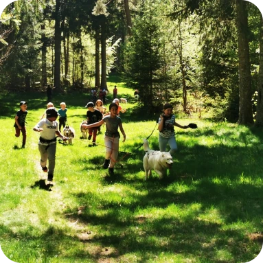 activité famille chiens de traineau Massif Central
